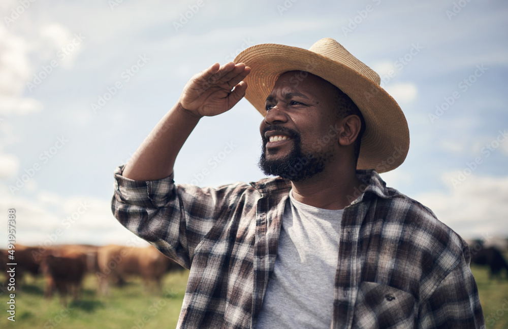 Poster putting in the work puts food on a table. shot of a mature man working on a farm.