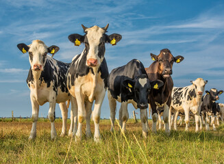 Ostfriesland im Winter 