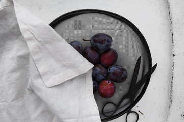 Old vintage steel mesh bowl with fresh picked plums and a antique scissor 