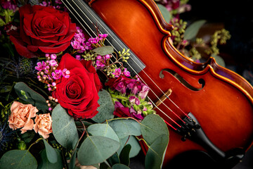 Close up of a Violin and Roses © F Armstrong Photo