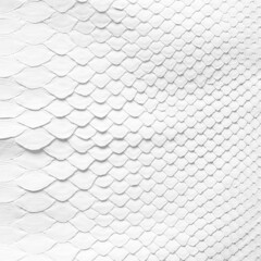 white background from natural serpentine leather. python skin