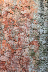 Rustic brick structural dark brown color abandoned old wall surface for background