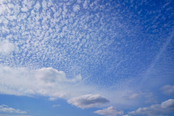 冬の空