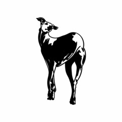 silhouette of a dog, dog animal vector