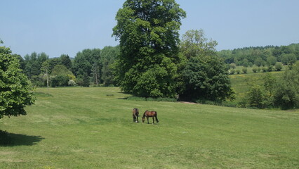 Trip to the world heritage