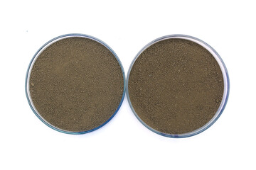 Soil Samples Closeup with Petri dishes.