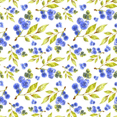Berries print. Blueberry branches on white background. Watercolor illustration