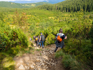 Fototapeta na wymiar Group of hikers with backpacks tackling the steep and extremely rugged descent from top of the mountain of the Chornogora ridge. View near the highest Ukrainian Carpathian mount Hoverla Ukraine