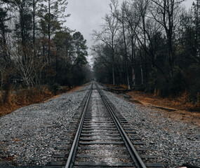 Fototapeta na wymiar railway in the woods