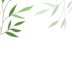 Floral web banner with drawn color exotic leaves. Nature concept design. Modern floral frame with summer branches. Vector illustration. Copy space