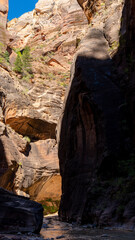 Sunrise on slot canyon walls of the Virgin River trail in Zion National Park