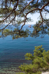 Beautiful summer landscape. View of the forest, rocks and sea coast. Hiking in scenic areas, the road to the wild beach. The resort town of Gelendzhik. Russia, Black sea coast