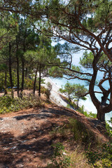 Beautiful summer landscape. View of the forest. Hiking in scenic areas, the road to the wild beach. The resort town of Gelendzhik. Russia, Black sea coast