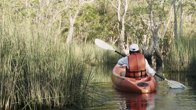 Back young adult woman paddling kayaking canoe on a lake on summer day in rural landscape, adventure travel leisure enjoying concept, lifestyle sport vacation