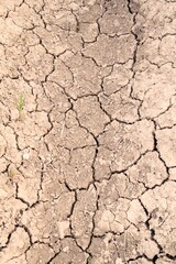 The effects of drought on the earth