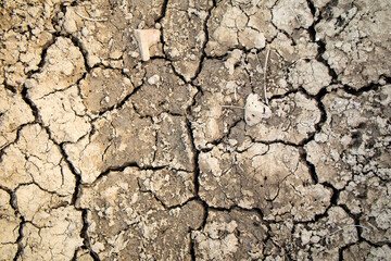 The effects of drought on the earth