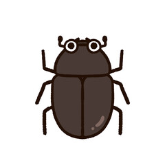 かわいいメスのカブトムシ
