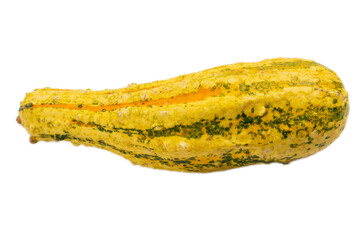 Trendy ugly organic pumpkin isolated on white background. Harvest, halloween concept.
