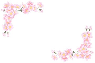 Fototapeta premium 桜の花 フレーム