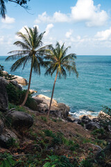 Two palm trees on the beautiful coast of the sea with turquoise water
