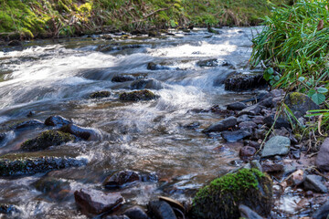 Elsass Vogesen Frankreich
