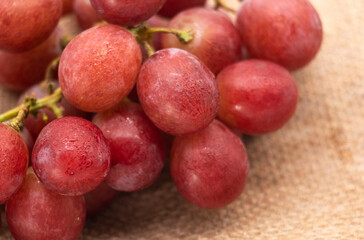 Bunch of red grapes with water drops isolated on background.
