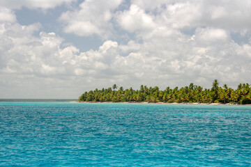 Tropical beach with palm trees and crystal clear water in Isla Saona, Dominican Republic