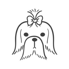 Hand drawn lines. The face of a cute Shih Tzu puppy.