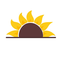 blooming yellow sunflowers full of sunflower seeds inside for decorating welcome cards