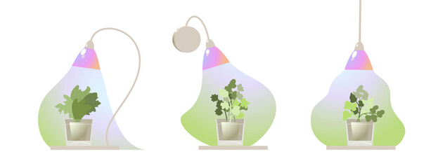 set of led grow lamps and plants illustrations. vector illustration of home growing plants with phytolamps.