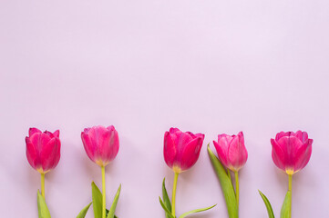 A bouquet of beautiful fresh tulips. The concept of a gift, an invitation, a place for a text.