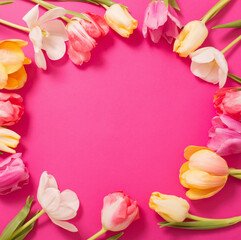 Obraz na płótnie Canvas frame of tulips on pink background