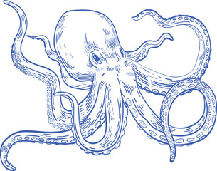 Octopus Hand Drawn Monochrome Illustration © Good Studio