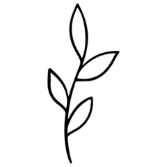 leaf hand drawn and Spring outline design illustration for web, wedsite, application, presentation, Graphics design, branding, etc.