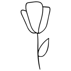 Flower hand-drawn and Spring outline design illustration for web, wedsite, application, presentation, Graphics design, branding, etc.