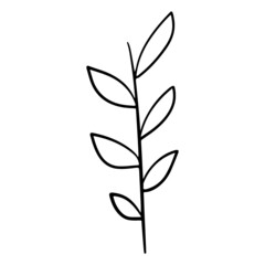 leaf hand drawn and Spring outline design illustration for web, wedsite, application, presentation, Graphics design, branding, etc.