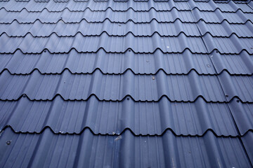 roof tiles on the roof