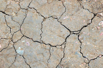 View of the cracked gray earth. Earthquake.