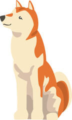 Shiba Inu as Japanese Breed of Hunting Dog with Prick Ears and Curled Tail