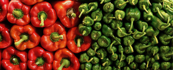 Banner with Trendy beautiful organic green and red paprika pepper on the market. Vitamin healthy food texture background. 