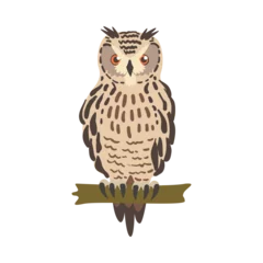 Peel and stick wallpaper Owl Cartoons Perching Owl Bird with Broad Head and Sharp Talons Having Upright Stance