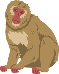 Macaque Monkey with Forward-facing Eyes as Herbivorous Ape in Sitting Pose Illustration © topvectors