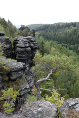 Aussicht vom Bielablick im Bielatal