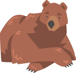 Fototapeta premium Lying Brown Bear as Large Wild Terrestrial Carnivore Mammal with Thick Fur