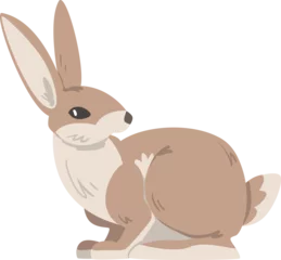 Foto op Aluminium Sitting Hare or Jackrabbit as Swift Animal with Long Ears and Grayish Brown Coat © topvectors