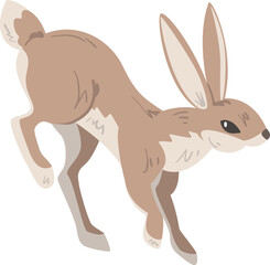 Jumping Hare or Jackrabbit as Swift Animal with Long Ears and Grayish Brown Coat
