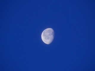 White Moon in a Clear Sky