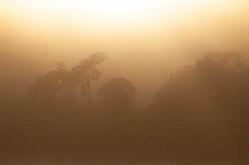 Dreamlike image of the setting sun breaking through a cloud layer and showing tree silhouttes.