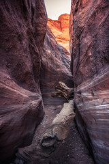 Buckskin Gulch Slot Canyon at Wire Pass Trail, Kanab, Utah