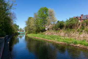 Rzeka Biała płynąca przez miasto Bielsko-Biała. Błękitne niebo, drzewa i odbicie w wodzie. - obrazy, fototapety, plakaty